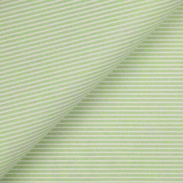 Pannolenci Stampato Fantasia Rigato Bianco Fogli - 50x90cm - Menta
