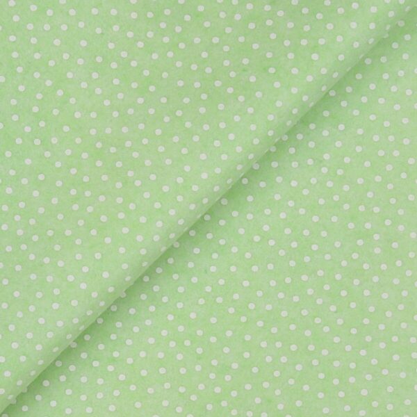 Pannolenci Stampato Fantasia Pois Bianco Piccolo Fogli - 30x45cm - Menta