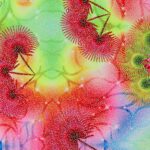Lycra Fantasia Floreale - al Metro - Disegno 20.008 - Colore A - Glitter Argento