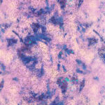 Lycra Fantasia Astratta - al Metro - Disegno 20.024 - Colore B - Glitter Oro
