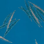 Lycra Fantasia Graffio Glitter Bicolore - Argento/Turchese - Fondo Turchese