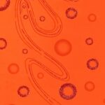Lycra Fantasia Glitter Pianeta - Arancio Fluo - Glitter Arancio
