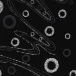 Lycra Fantasia Glitter Pianeta - Nero - Glitter Argento