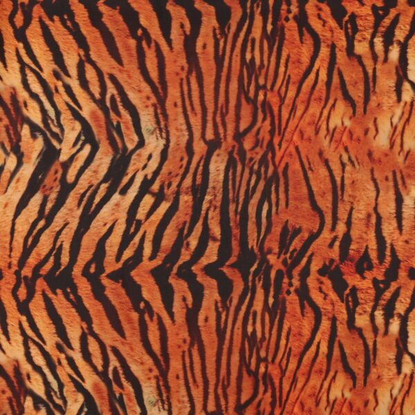 Lycra Fantasia Animalier SGV Tigre - al Metro - Disegno D