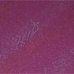 Lycra Fantasia Animalier Multi Glitter- al Metro - Fucsia Glitter Argento / Rosso