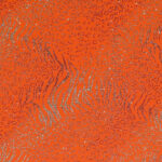 Lycra Fantasia Animalier Multi Glitter- al Metro - Arancio Fluo Glitter Argento / Arancio