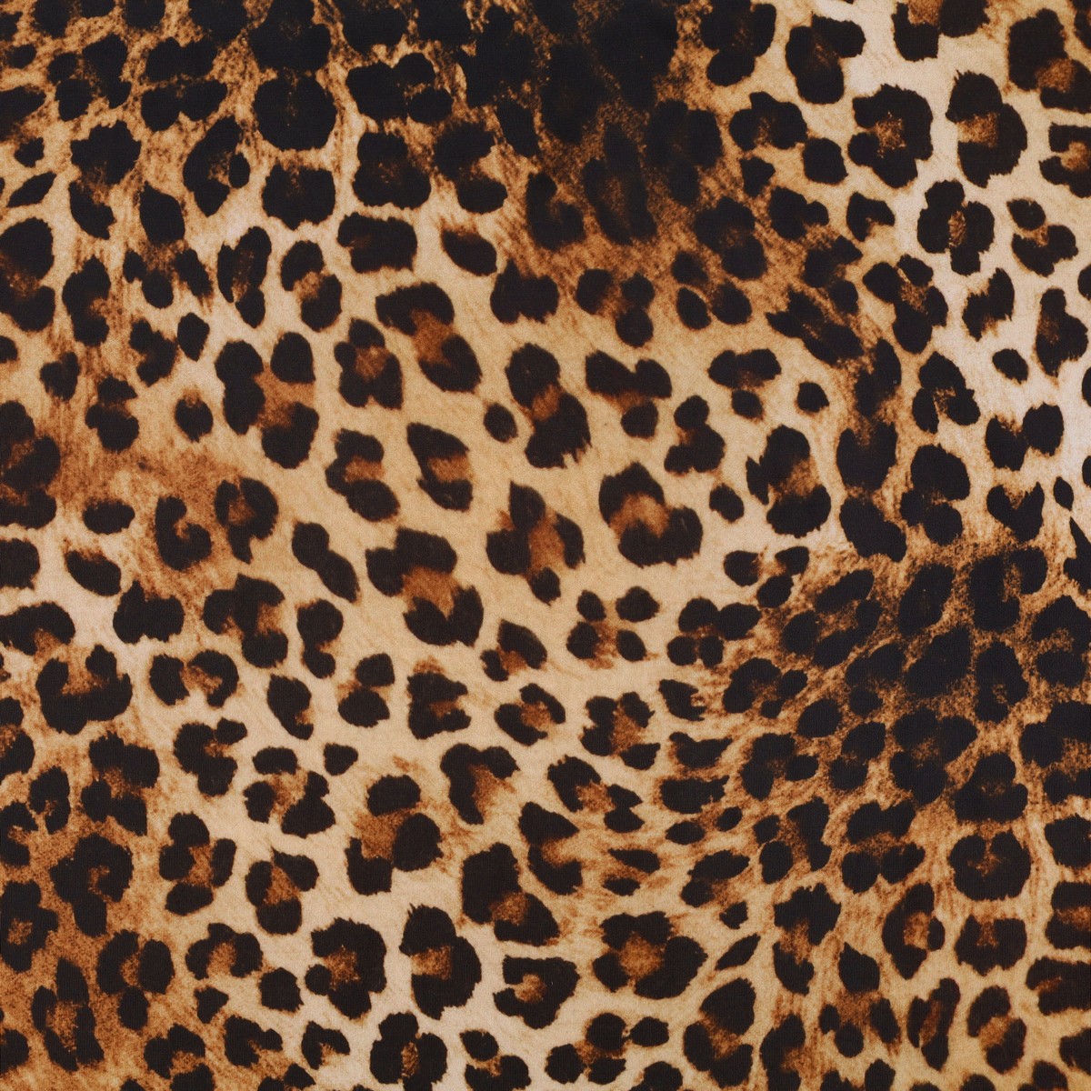 Lycra Fantasia Animalier Maculato SGV Disegno D