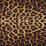 Lycra Fantasia Animalier Maculato SGV Disegno E
