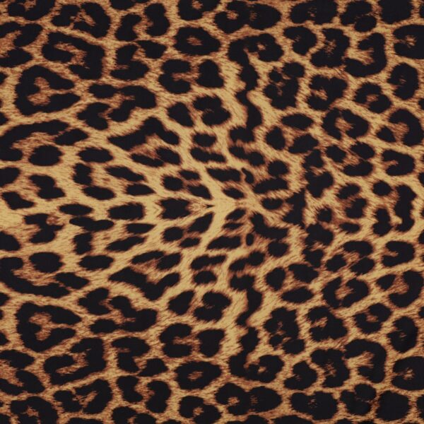 Lycra Fantasia Animalier Maculato SGV Disegno F