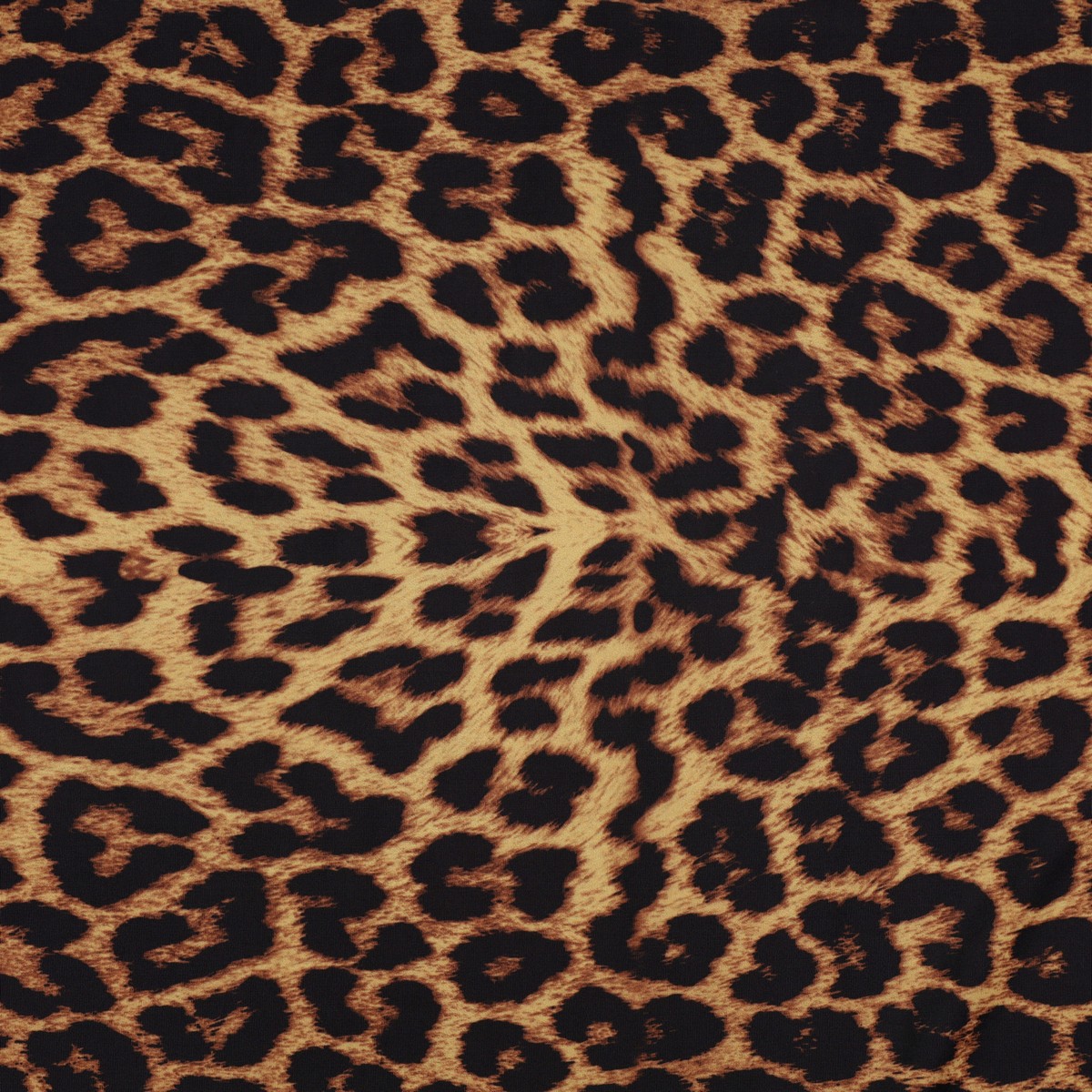 Lycra Fantasia Animalier Maculato SGV Disegno F
