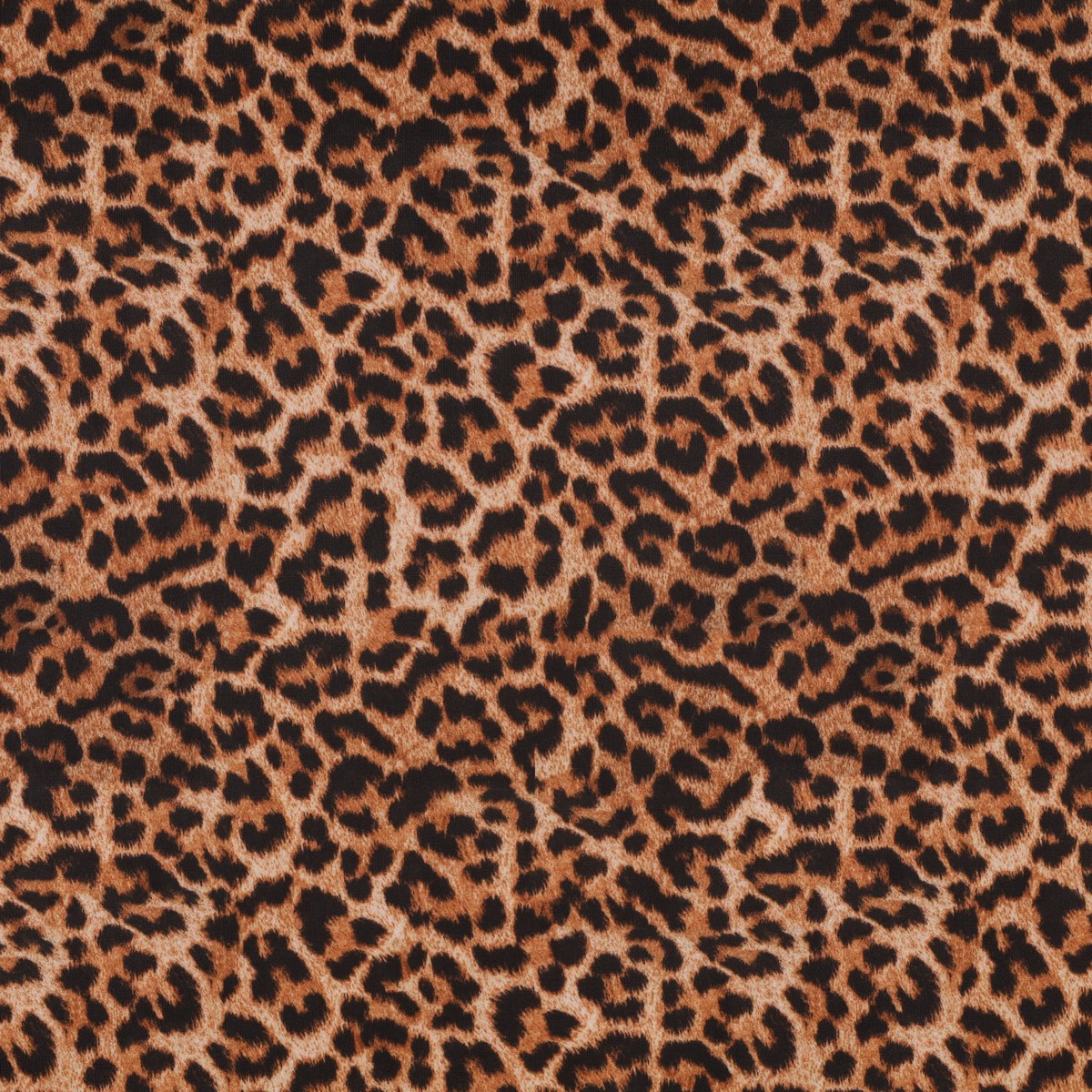Lycra Fantasia Animalier Maculato SGV Disegno M