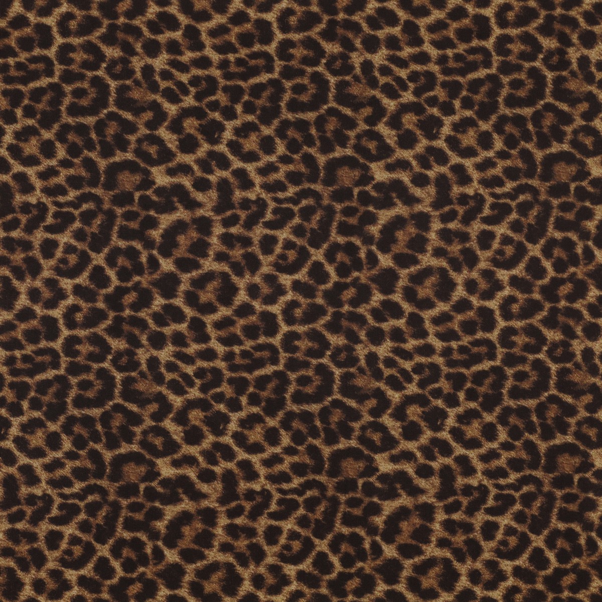 Lycra Fantasia Animalier Maculato SGV Disegno Q