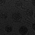 Tulle Elastico Fantasia Esfera Floccato Glitter - Disegno 2 - al Metro - Nero Glitter Nero