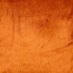 Barbe Per Gnomi - Arancio