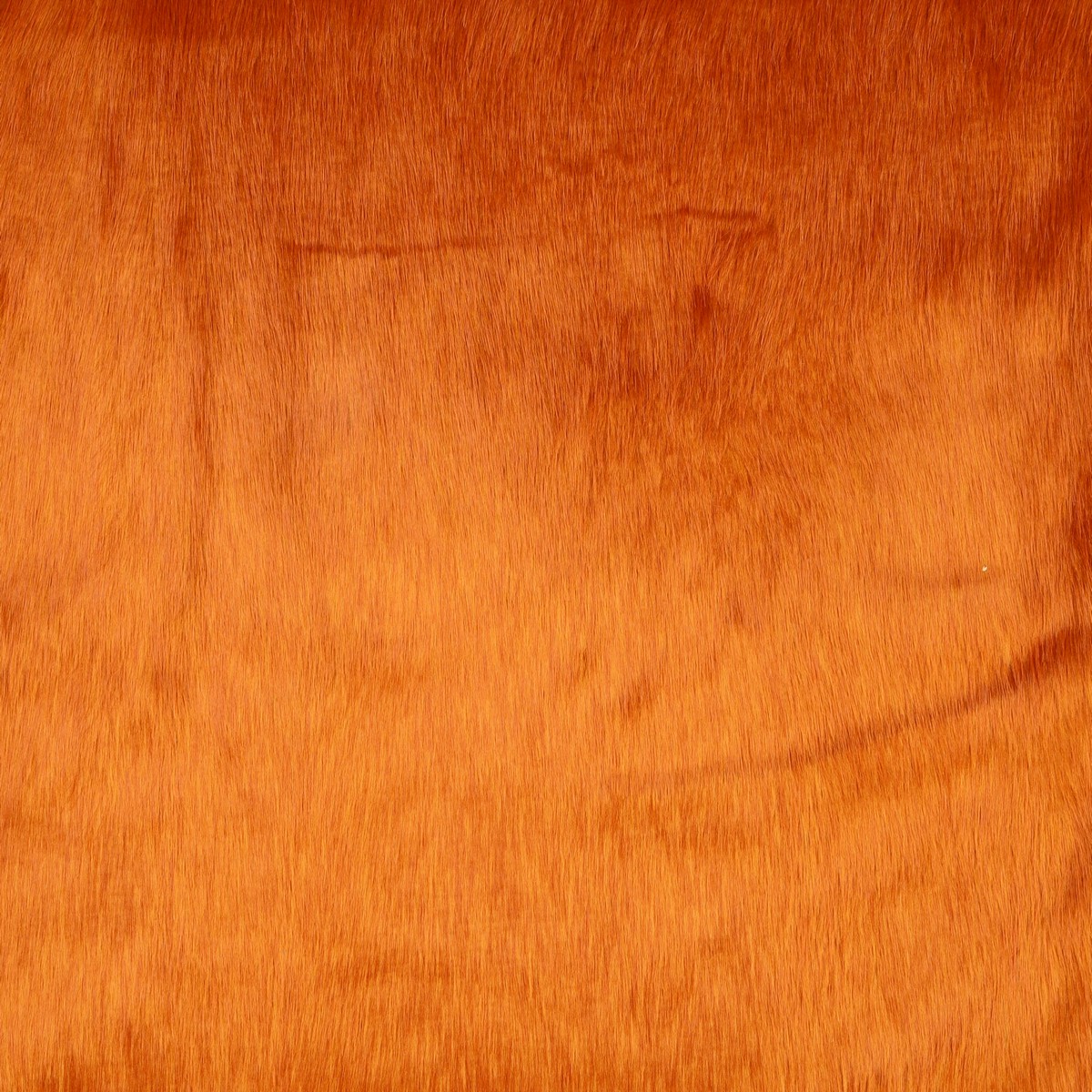 barba-per-gnomi-arancione-mondotessuti
