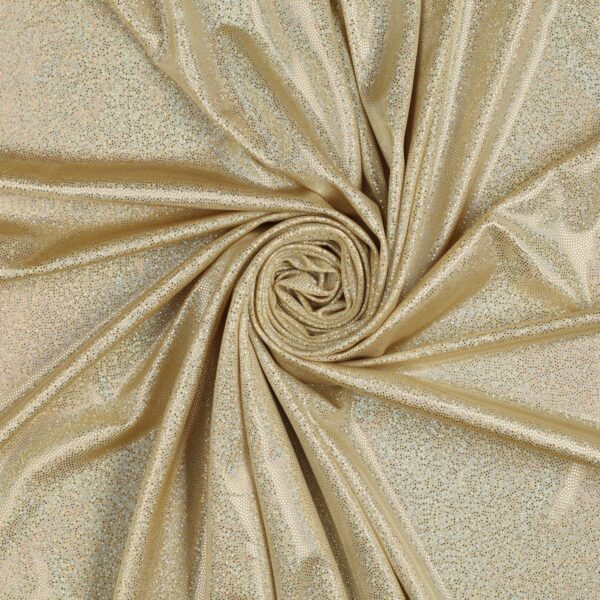 Lycra Fantasia Glitter Puntinato New - al Metro - Nudo Glitter Argento