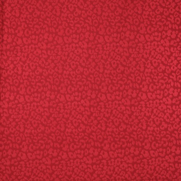 Merletto Mini Jaguar - Bielastico 4064 - al Metro - Rosso