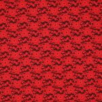 Merletto Boccioli di Seta - Monoelastico 853 - al Metro - Rosso