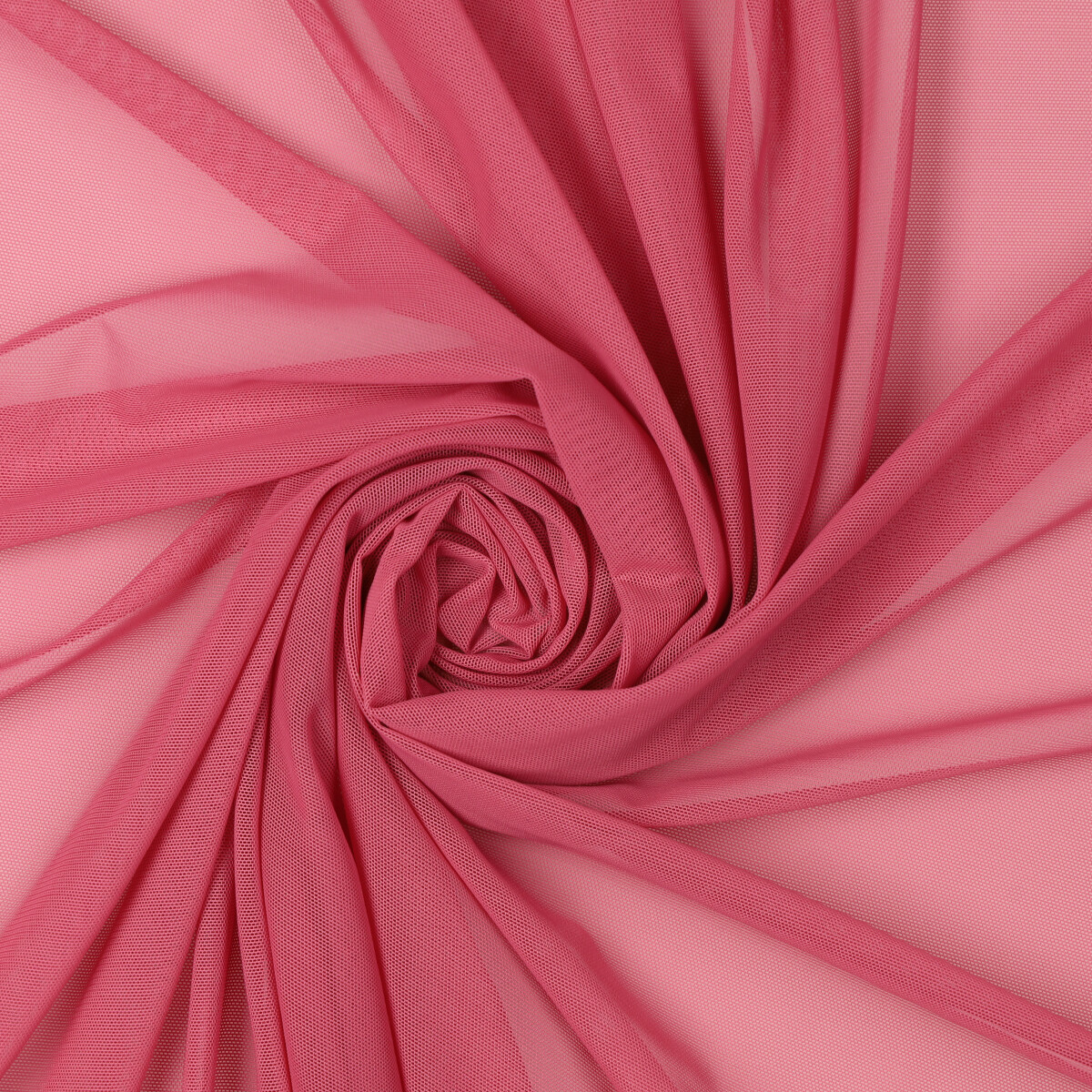 PRG-143-ROSA-CAMEO